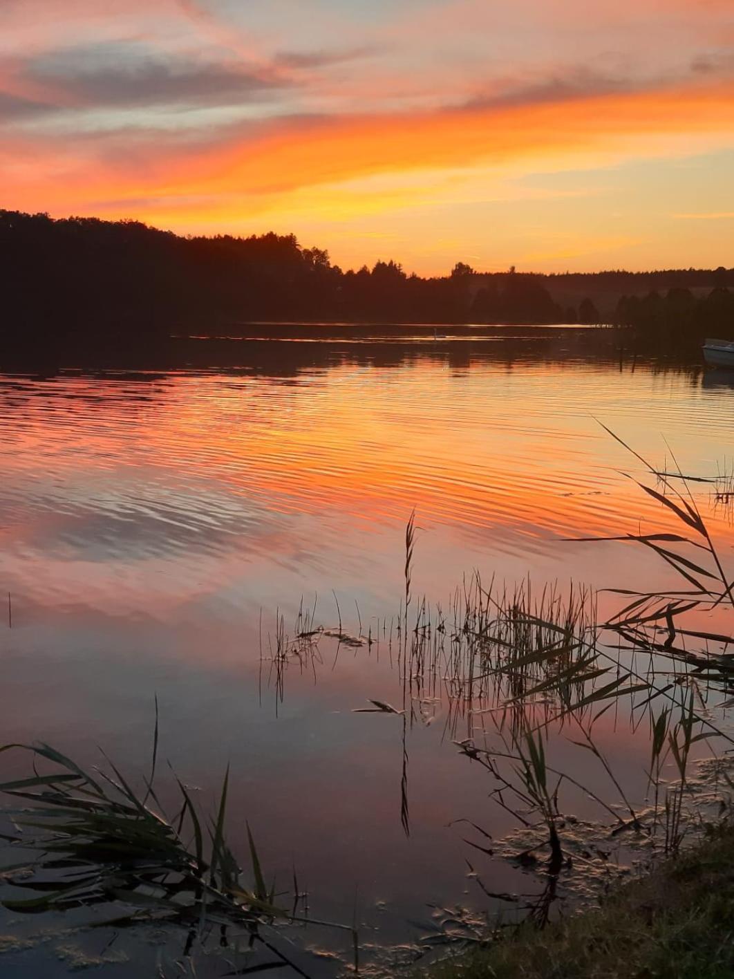 Domek Na Kaszubach, Borowy Mlyn, Jezioro Gwiazda, Sauna, 4 Zewnętrze zdjęcie